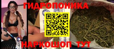 Альфа ПВП Сланцы