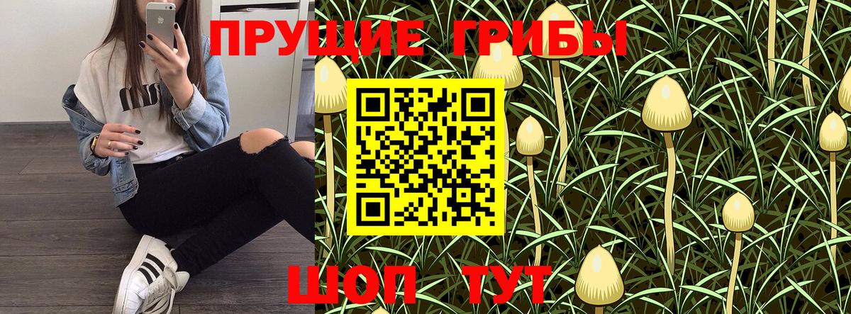 Орёл  Псилоцибиновые грибы Cubensis  Псилоцибиновые грибы Psilocybine cubensis  Вход с VPN 